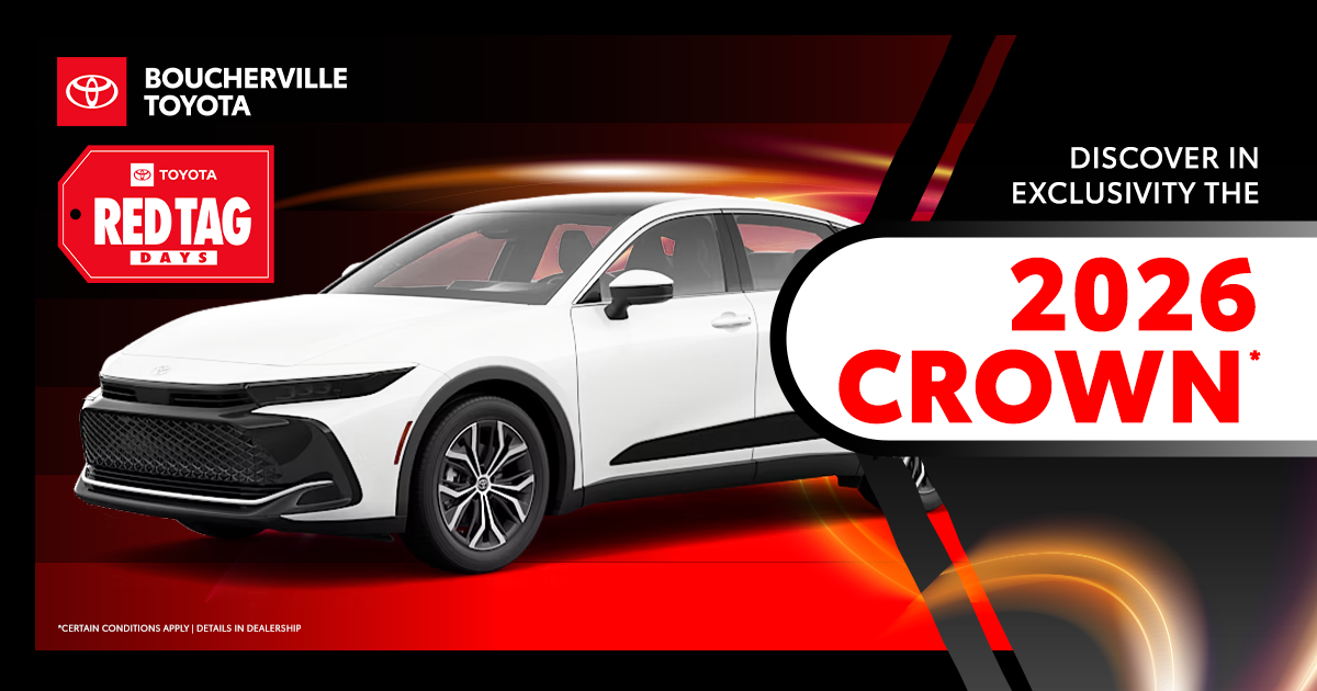 DISCOVER THE 2026 CROWN !