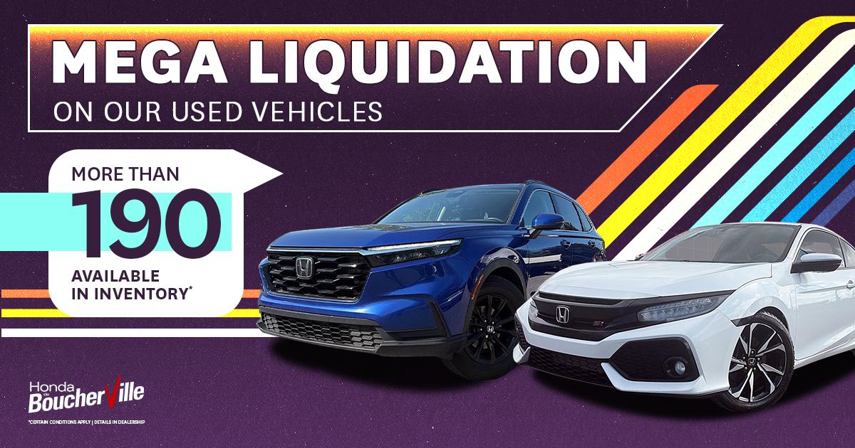 MEGA LIQUIDATION !