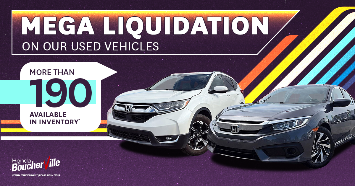 MEGA LIQUIDATION !