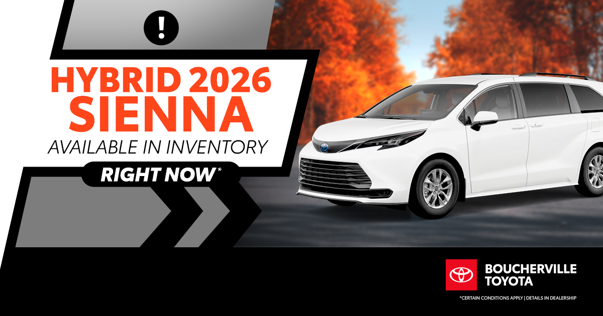 HYBRID 2026 SIENNA !