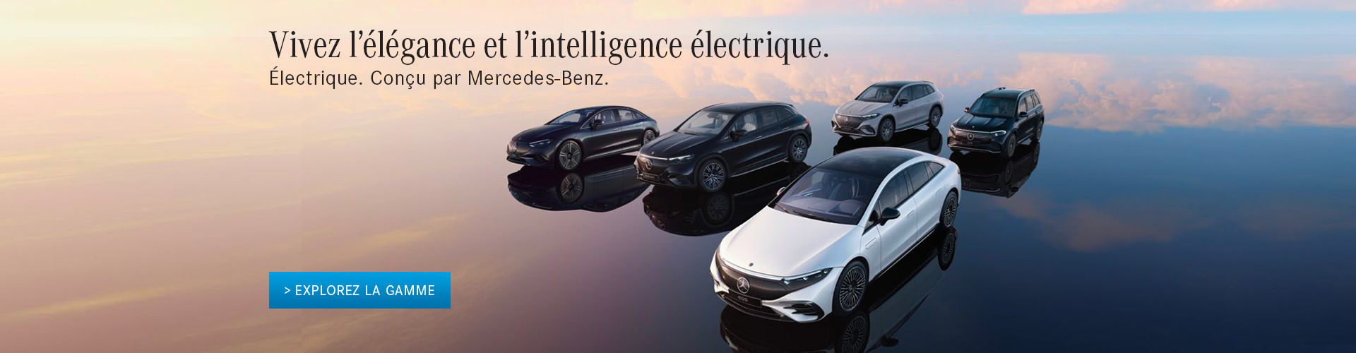 Gamme 100% électrique