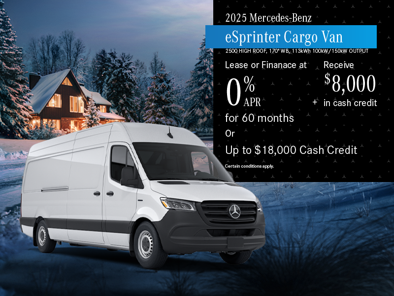 2025 eSprinter Cargo Van