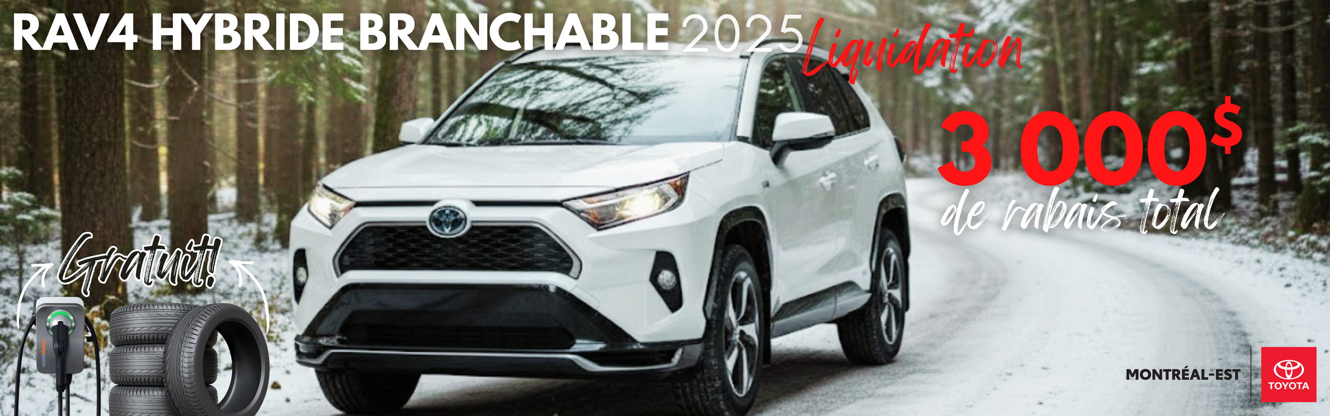 Rav4 hybride branchable