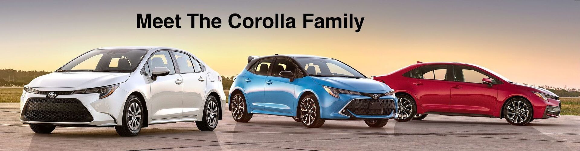 Meet The Corolla Family