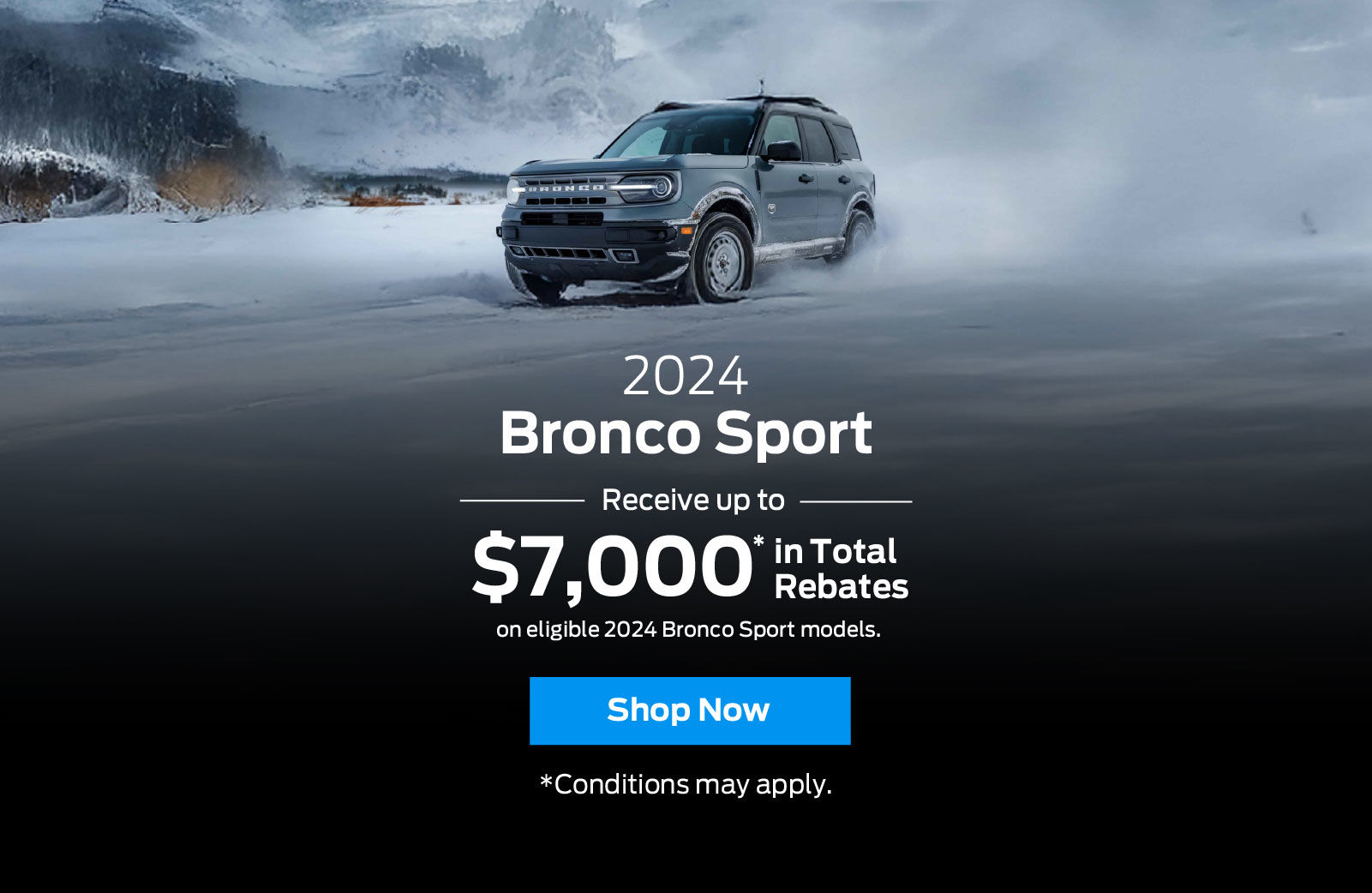 2024 Ford Bronco Sport - Local Offer - VDP