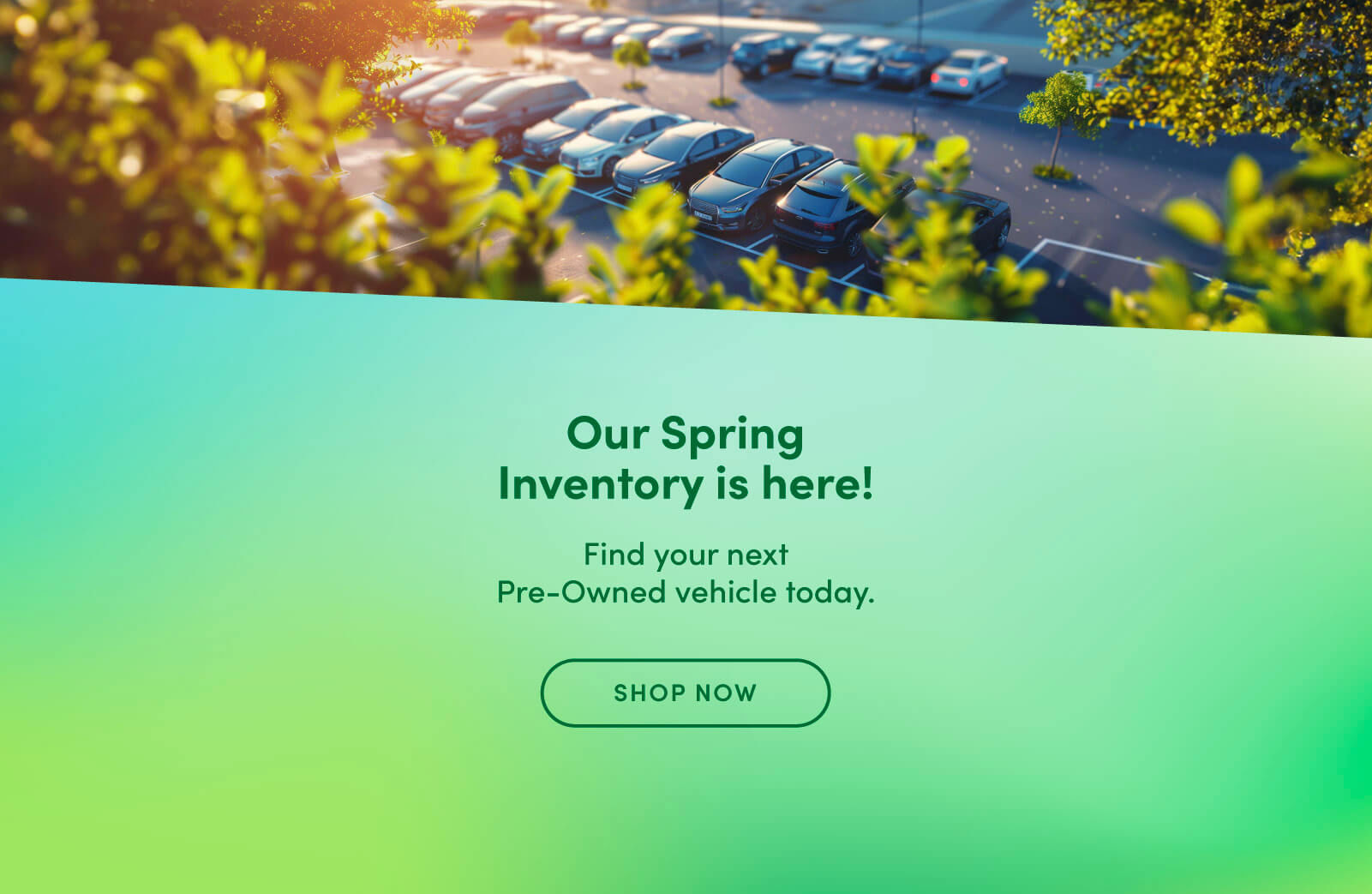 Spring Campaign 2024 - Home page