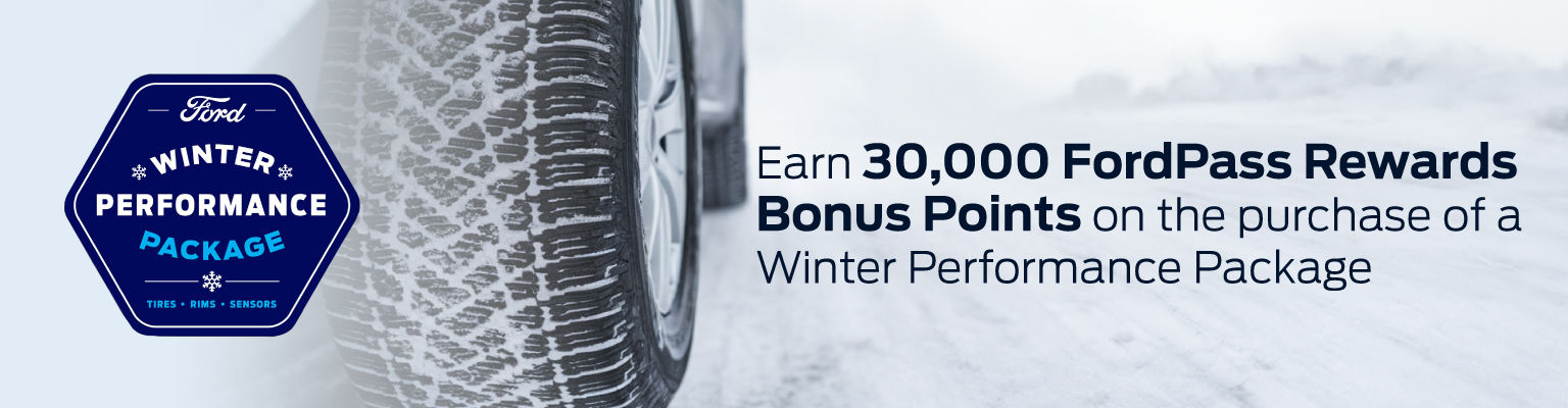 Ford Winter Performance Package - VDP