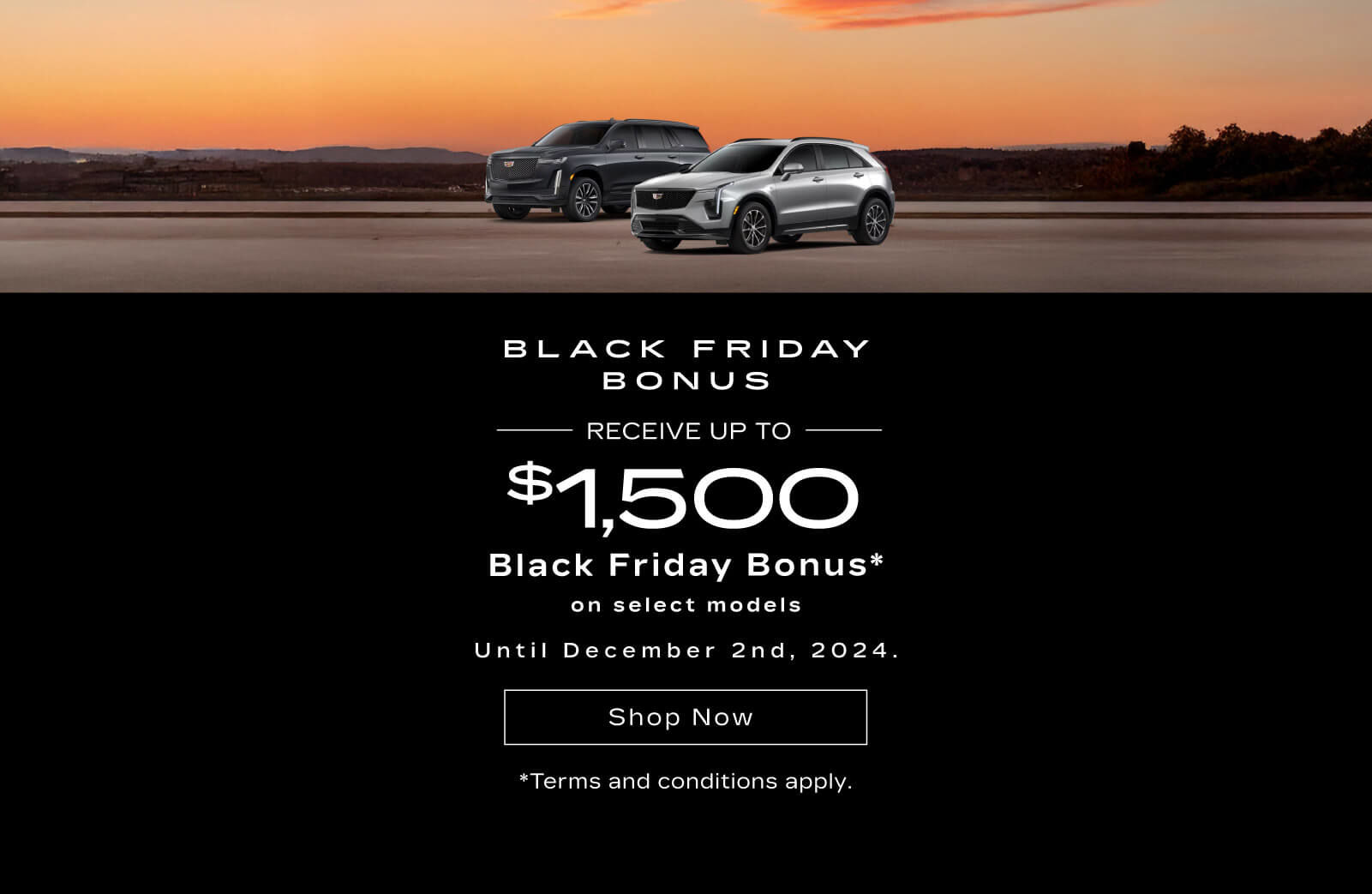 Black Friday Sale Event