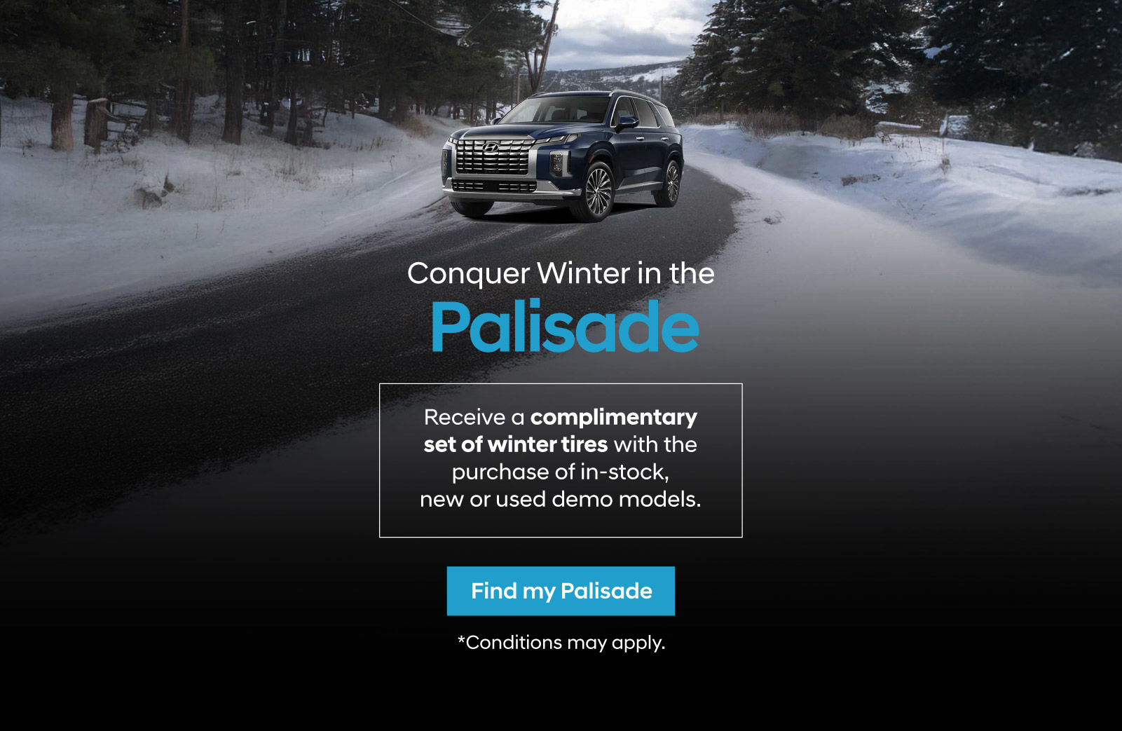 Conquer Winter In The Palisade