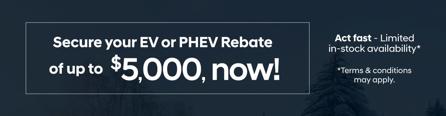 Secure Your EV Rebate with Hyundai!