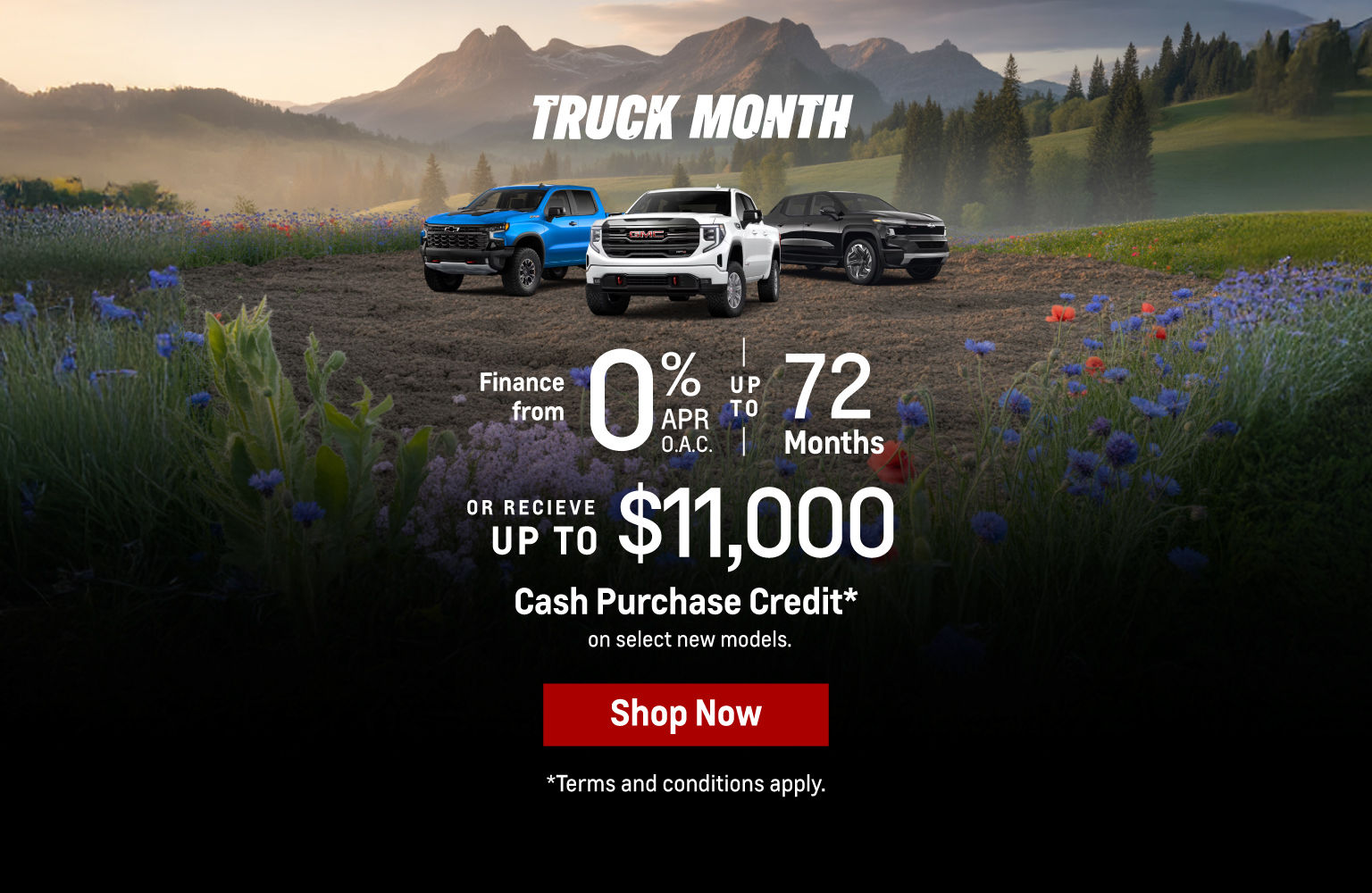Truck Month is on