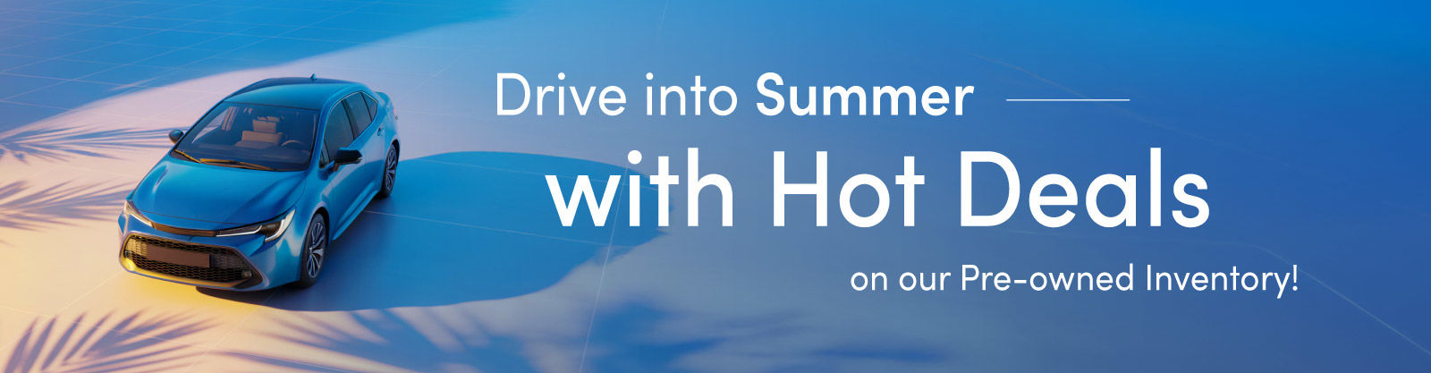 Summer Campaign 2025- VLP banner