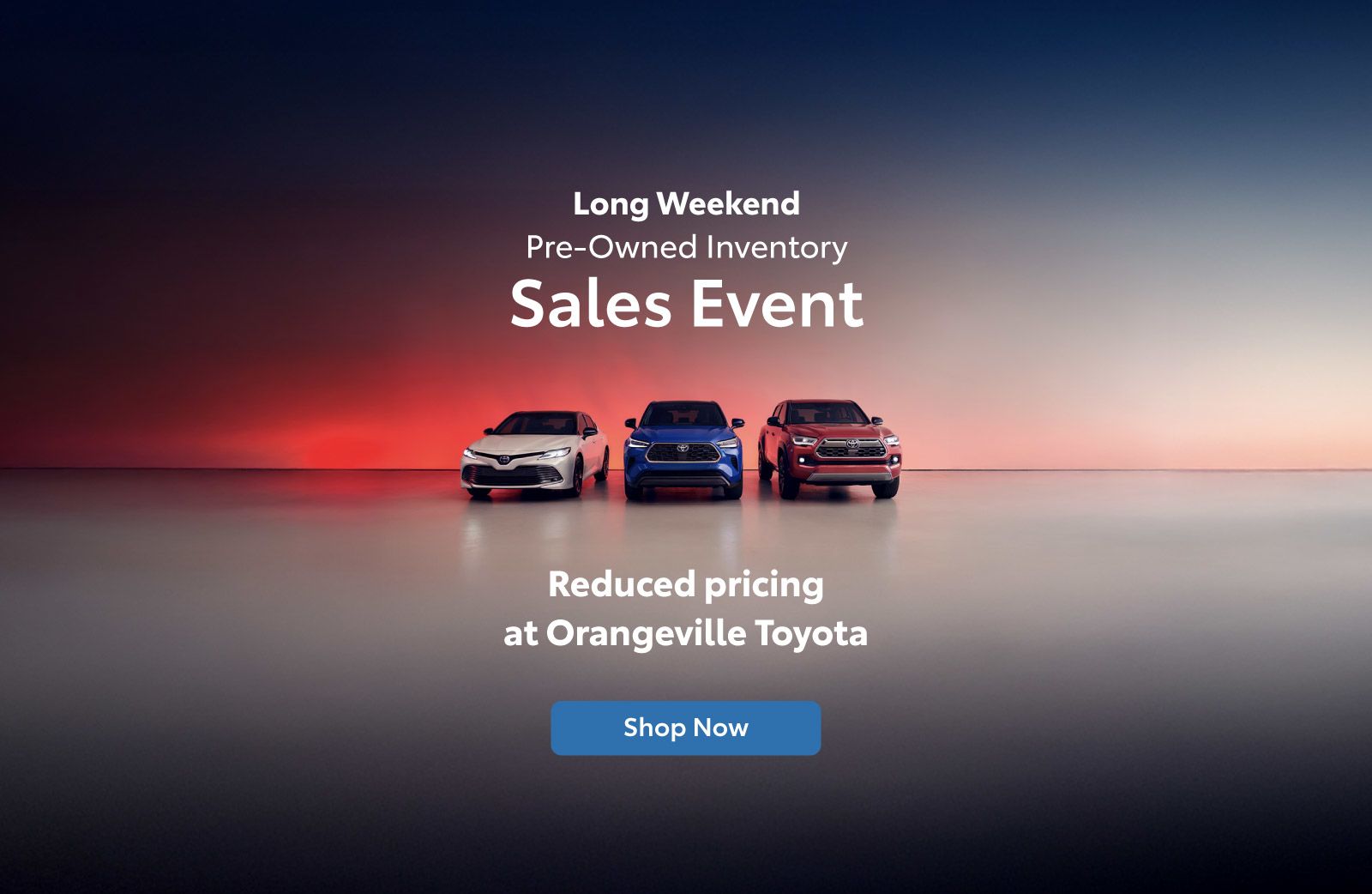 ORT - Long Weekend Sale (Home page)
