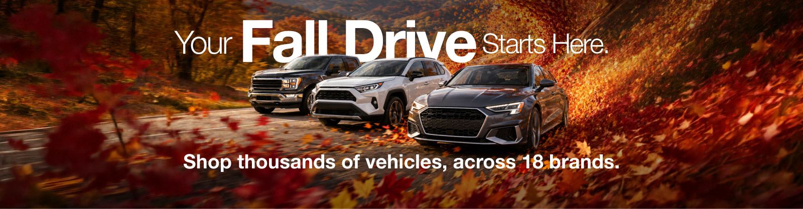 HG Fall Campaign