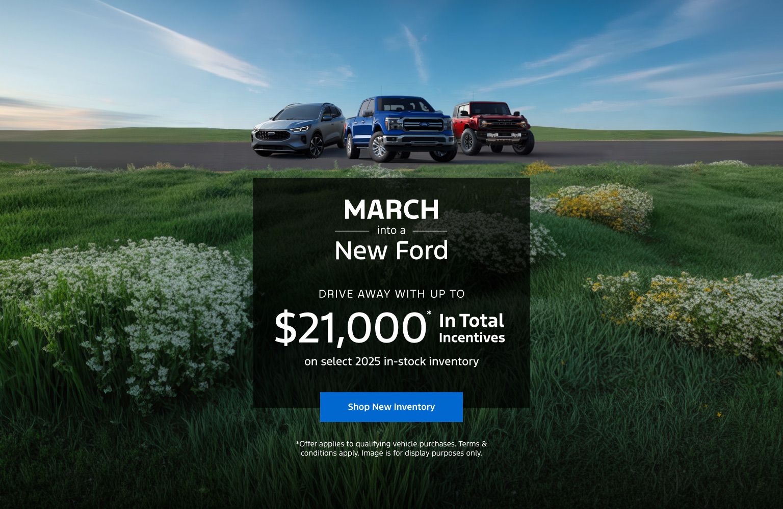 2025 Model Year Clearout