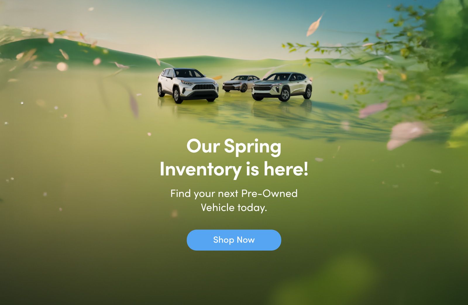 Spring Campaign 2026 - Home page