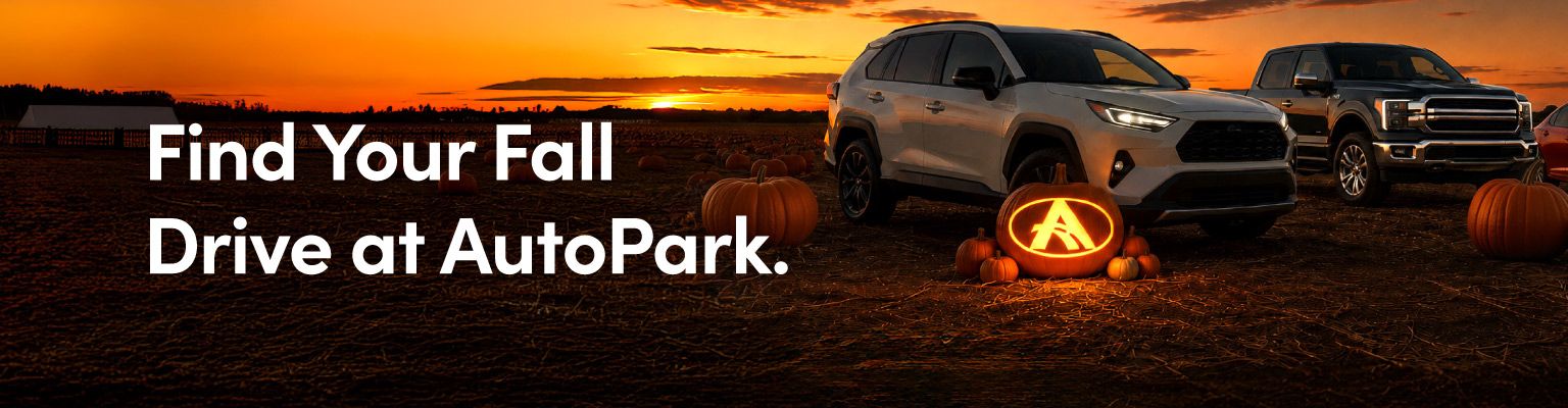 Fall Campaign 2026- VLP banner