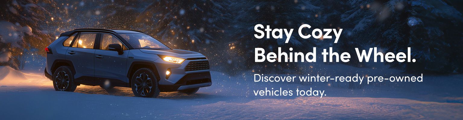 Winter Campaign 2025-26- VLP banner