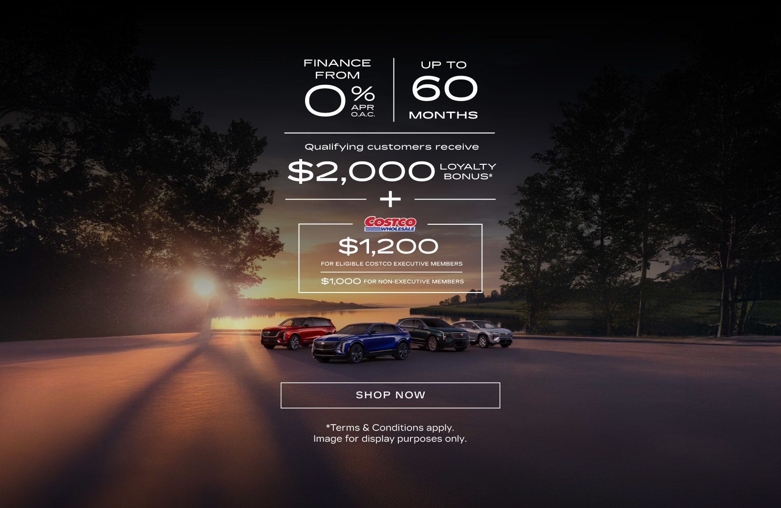 Cadillac: Move into Luxury