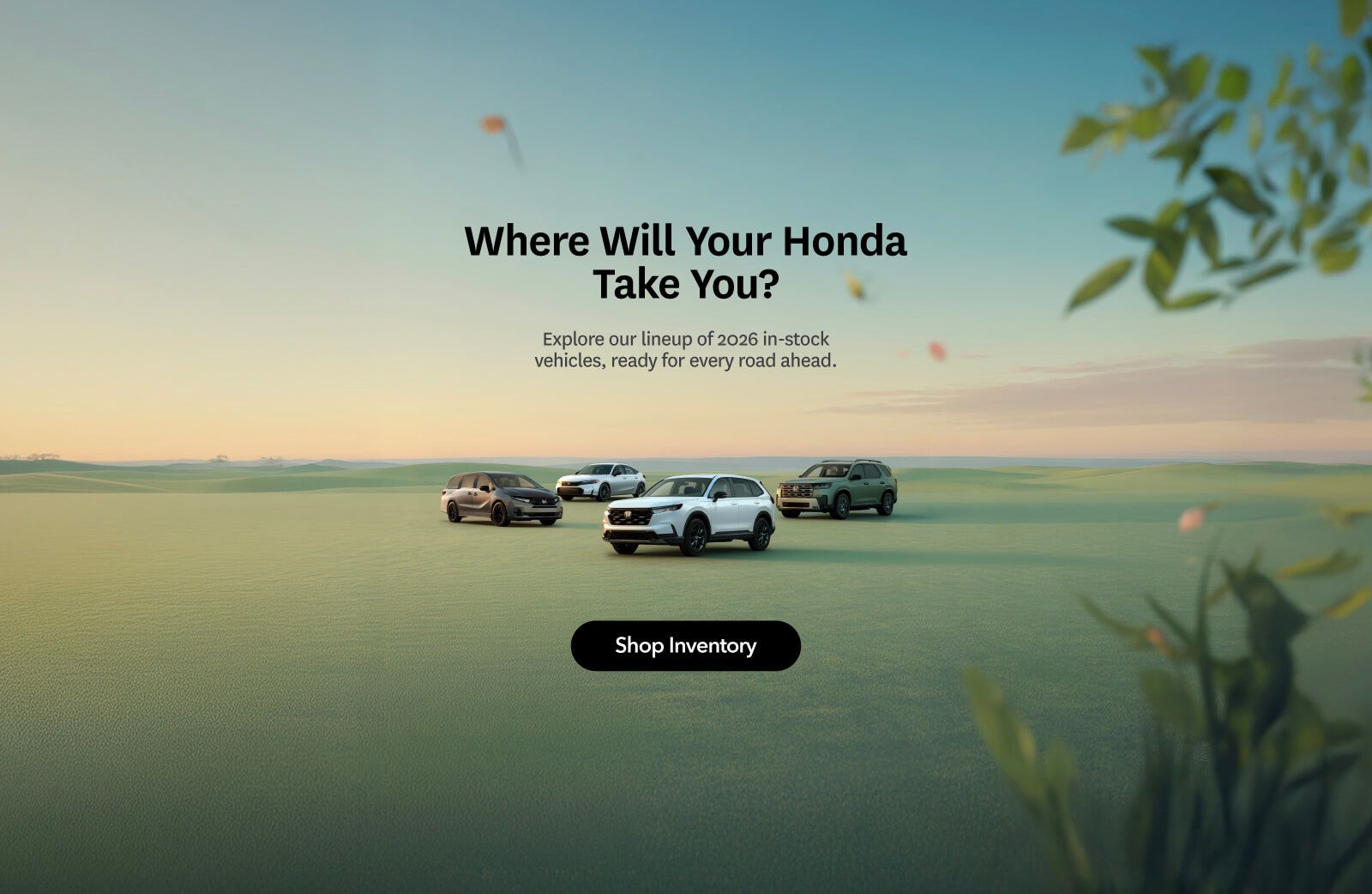 Honda Evergreen - Lineup