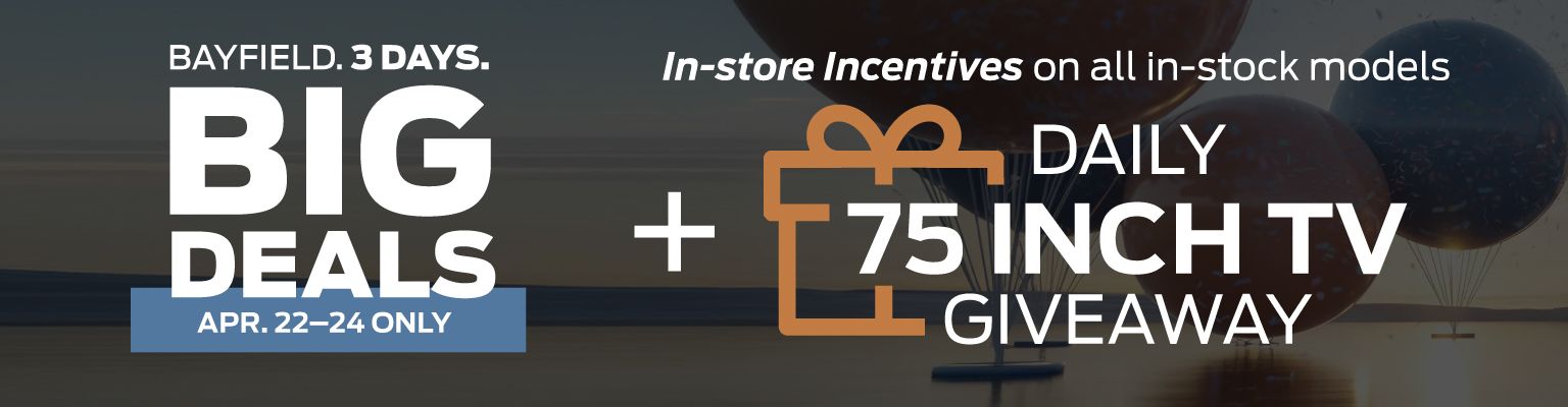 Big Day Sales Event - VLP