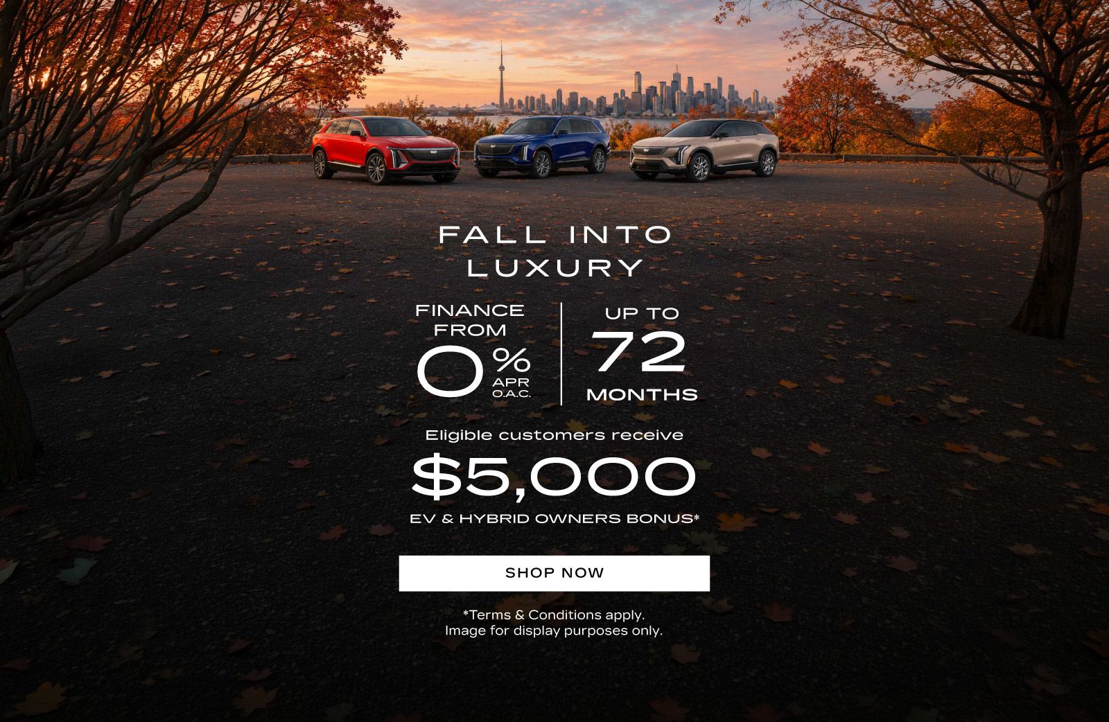 Fall Into Luxury - Slider