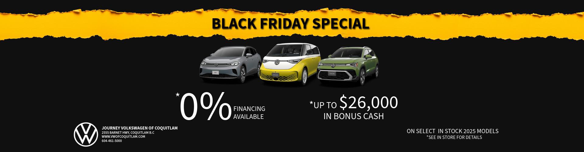 Black Friday Special