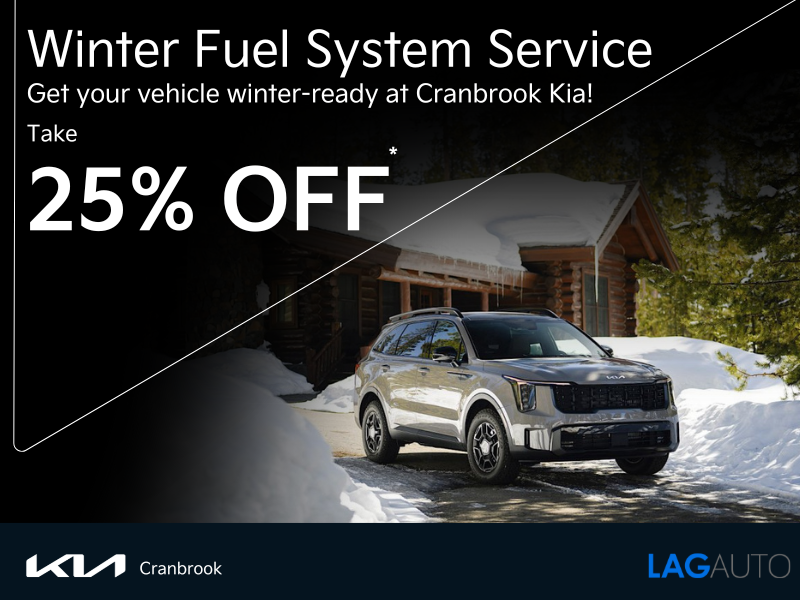 Winter Fuel System Service - Now 25% Off