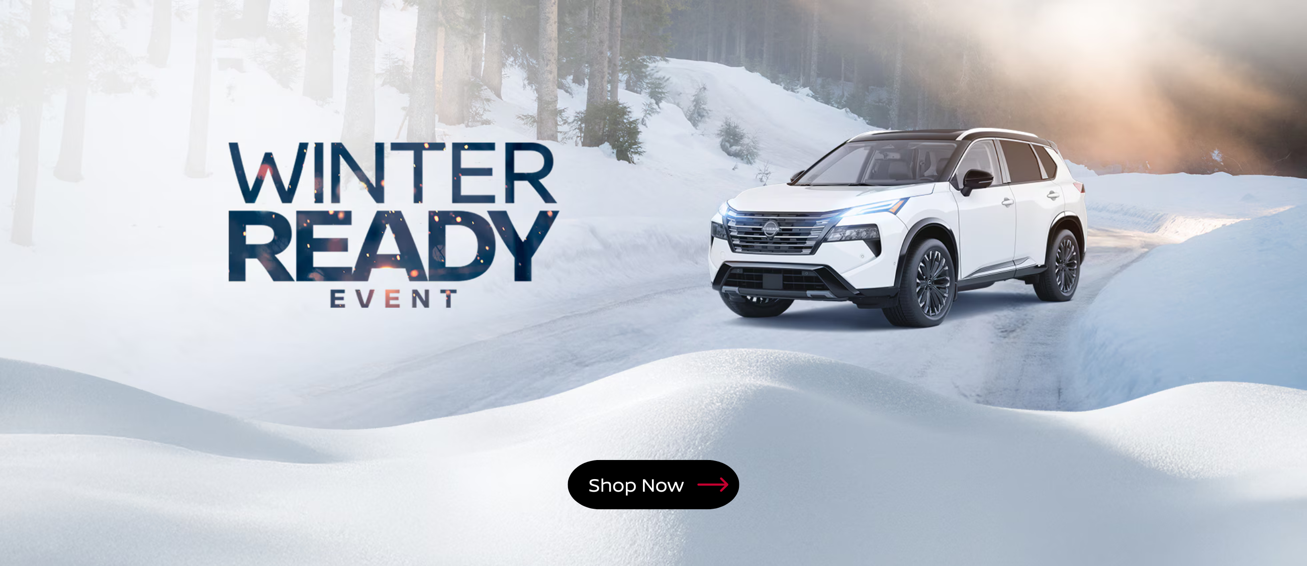 Winter Ready Event