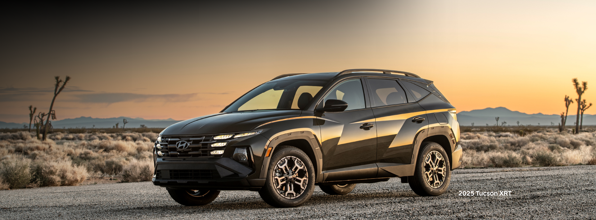 The 2025 Tucson