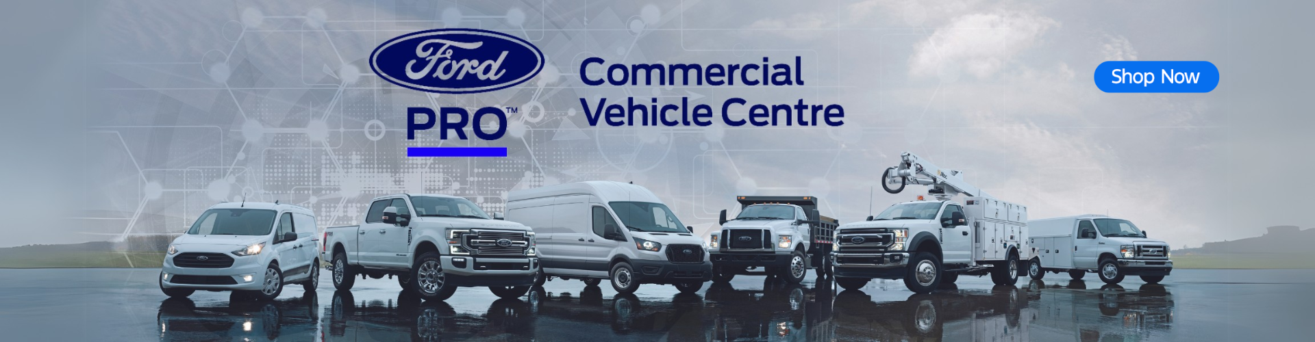 Ford Pro