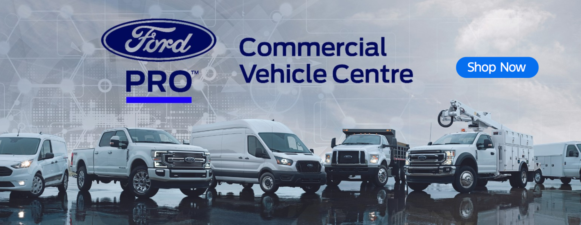 Ford Pro