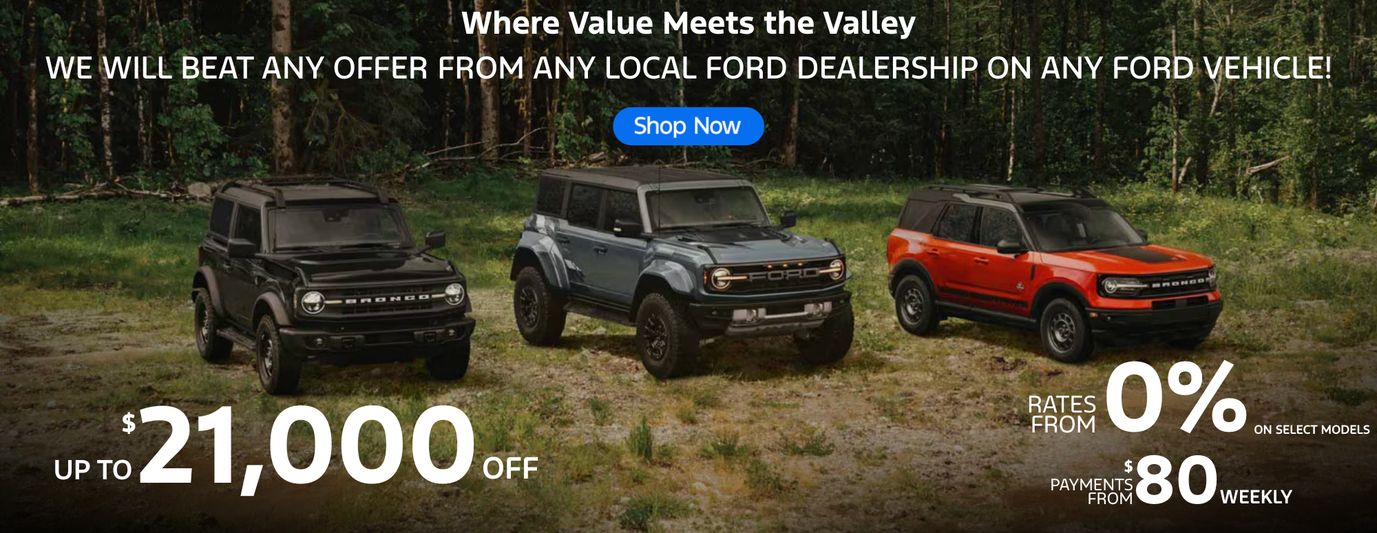 RVF OFFER