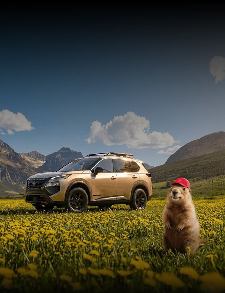 <strong>We offer service financing!</strong>