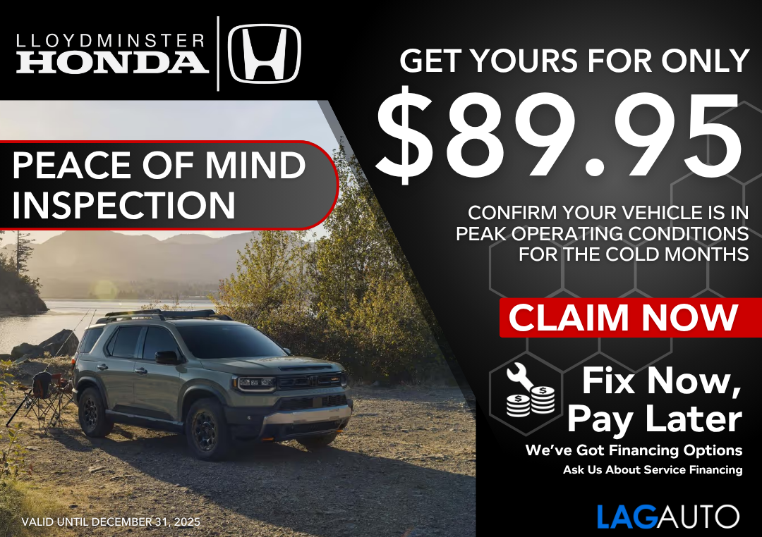 Peace of Mind Inspection