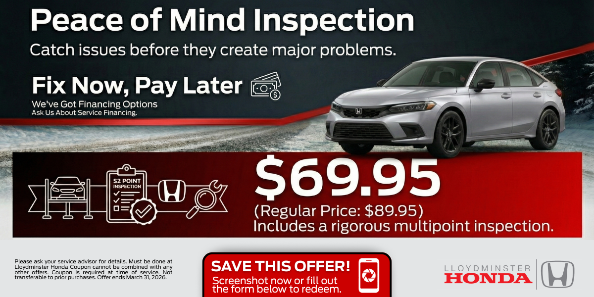 Peace of Mind Inspection | Catch Issues Early starting at $69.95