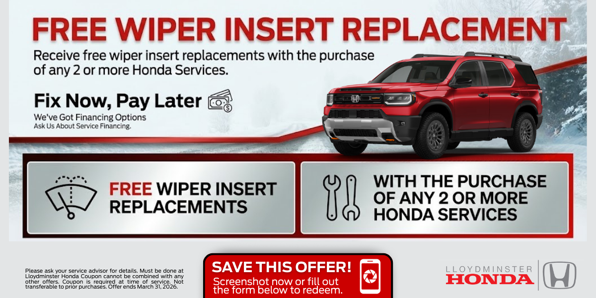 Free Wiper Insert Replacement with 2+ Services