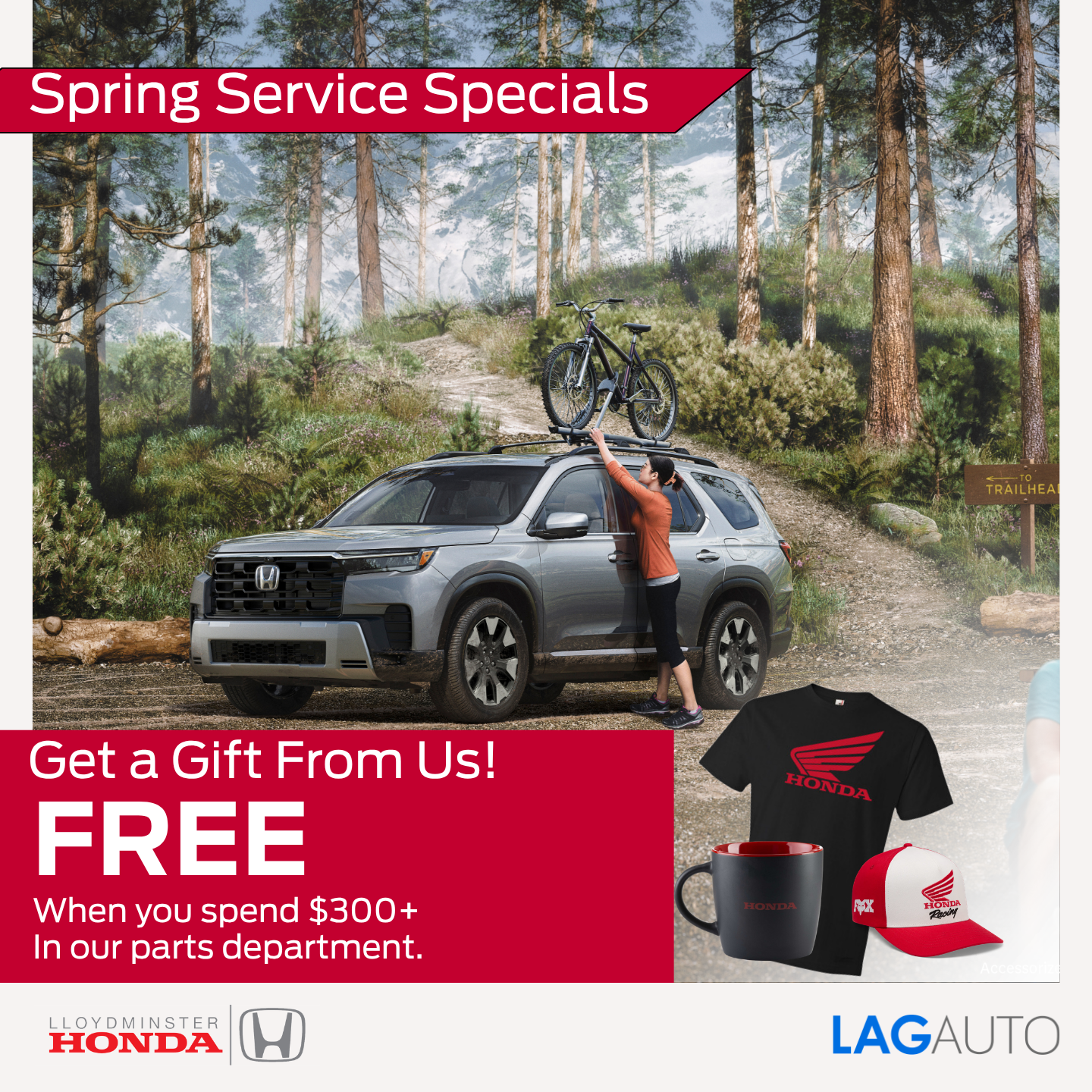 Get a Gift From Us!