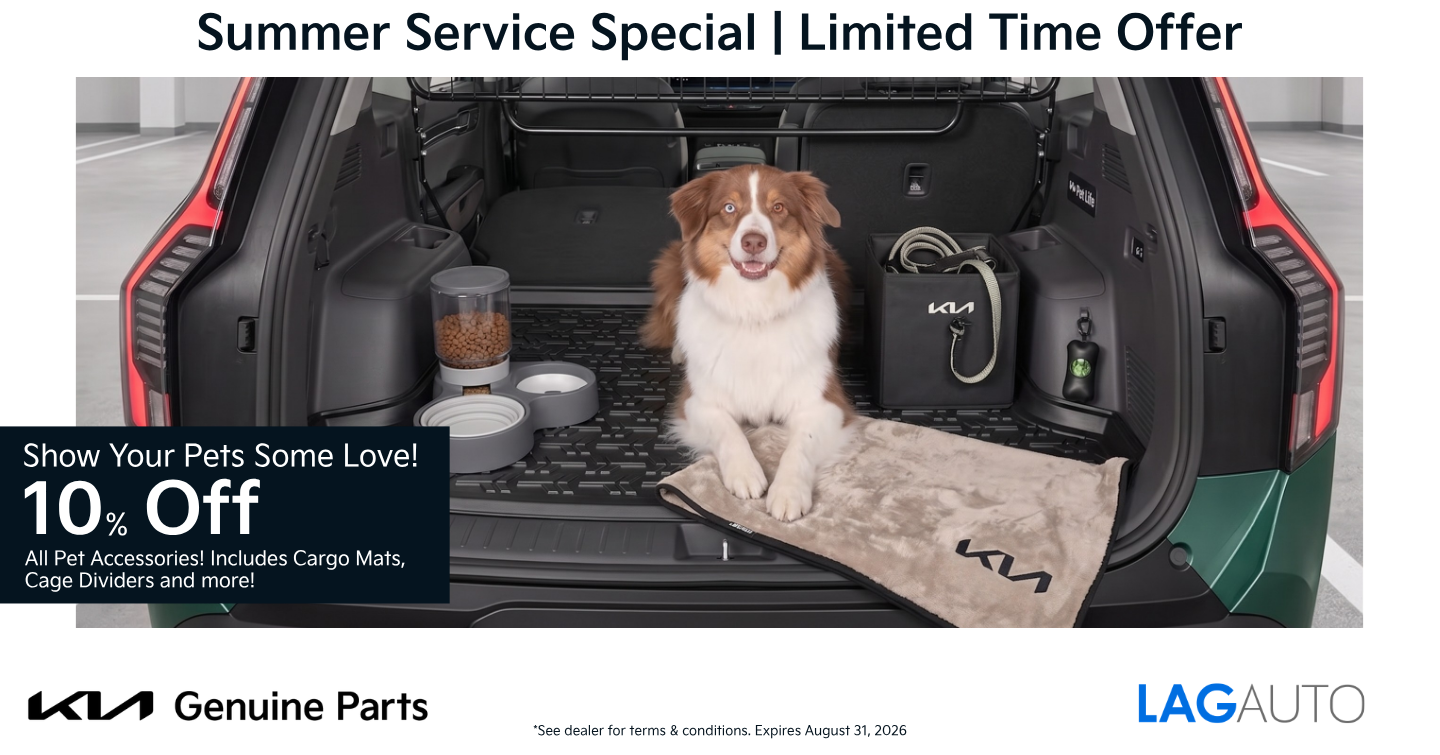 10% Off Pet Accessories