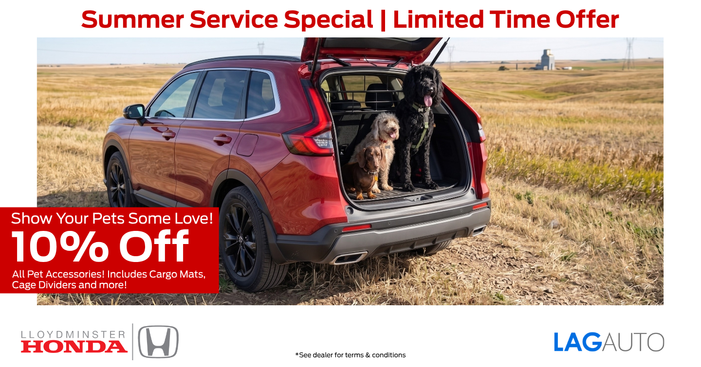 10% Off Pet Accessories
