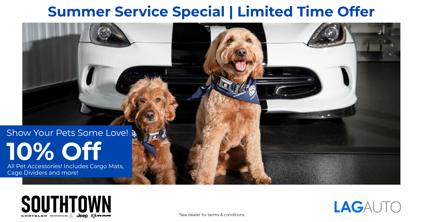 10% Off Pet Accessories