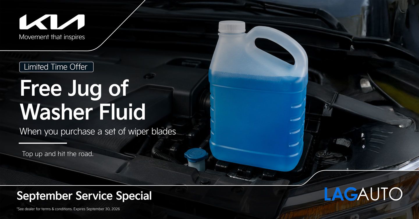 Clear Vision Ahead: Free Washer Fluid with Wiper Purchase
