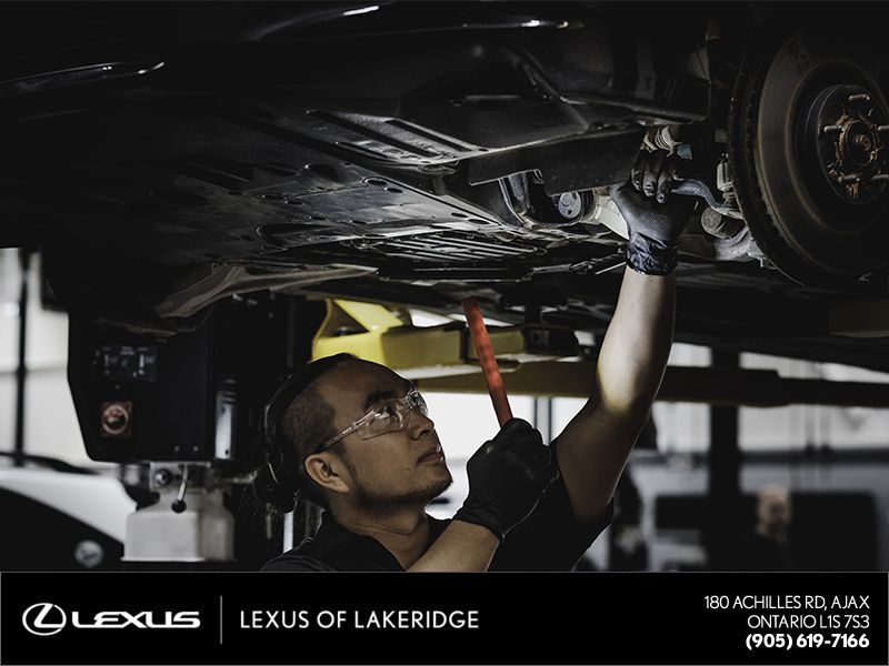 Lexus of Lakeridge | Free Multi-Point Inspection