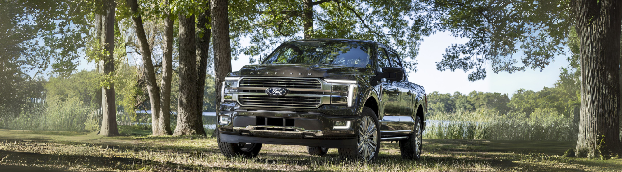 2025 F-150
