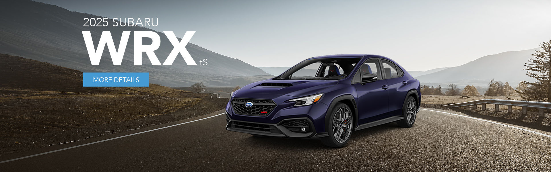 2025 Subaru WRX