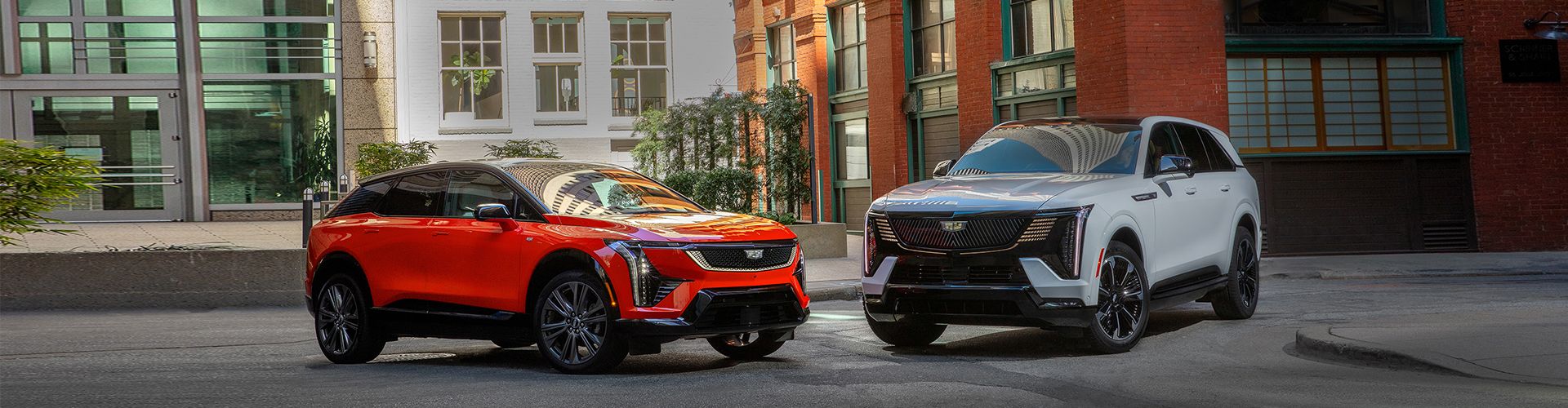 Électrifiez votre expérience