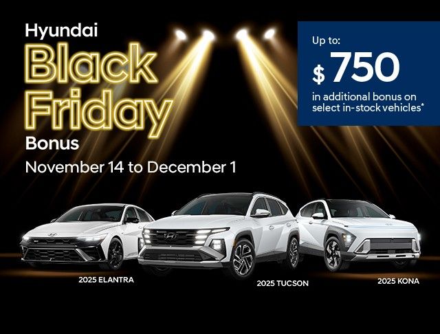 Black Friday Bonus!
