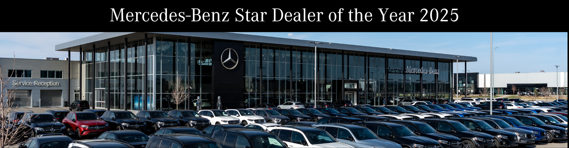 2025 STAR DEALER AWARD