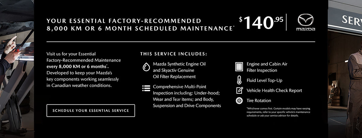 Maintenance