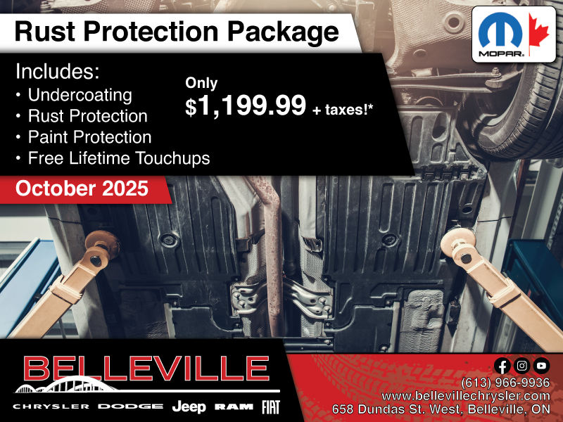 Get all-around protection for your vehicle!